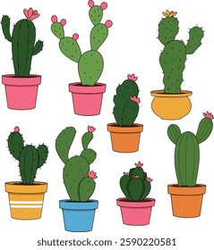 Cacti change positions and pots between first and second frame.