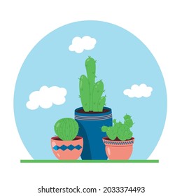 Cacti with clouds on the shelf