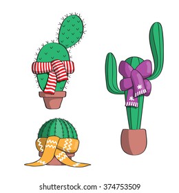 Cacti are cold and wearing scarves.