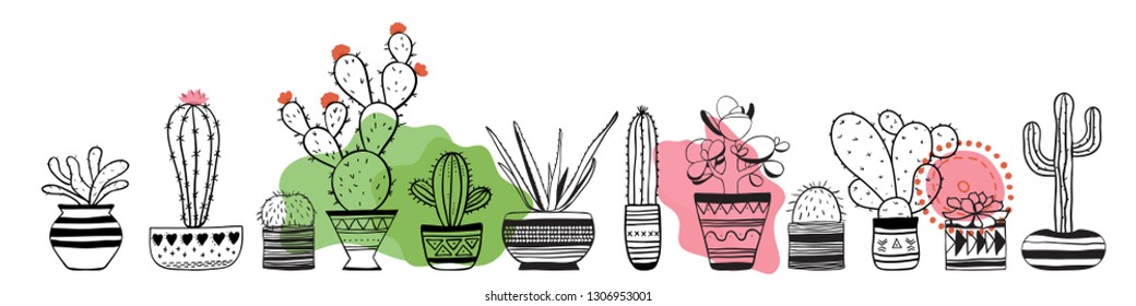 Cacti contour set . Vector
