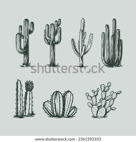Cacti dessert cactus hand drawing set