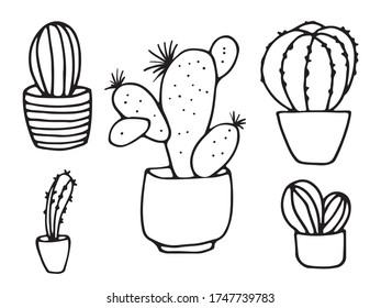 Cacti of different types in pots.  Drawn in doodle style with black outline.  Vector drawing.