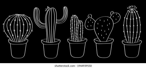 Se dibujan cactus con un contorno blanco sobre un fondo negro, el efecto de una pizarra y una tiza. Dibujo vectorial de una línea de suculentos.