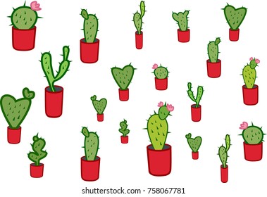 cacti flower plant