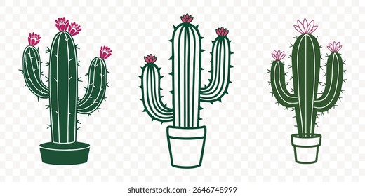 cactos com flores. É uma ilustração botânica sobre um fundo transparente. Use este vetor para seus projetos de design.