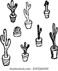 cacti flowers of different sizes and types in flowerpots