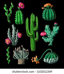 Cacti with flowers isolated on a black background. Vector illustration.