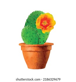 Cacti with flowers vector illustration. Cactus in pot on white background. Cactus blossom. Home interior cacti. Houseplant. Cactus watercolor. Clipart for logo, greeting card and design.