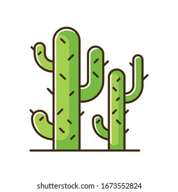 Cacti green RGB color icon. Desert plants. Saguaro cactus. Prickly tree like succulent. American arid area thorny wildflower. Isolated vector illustration