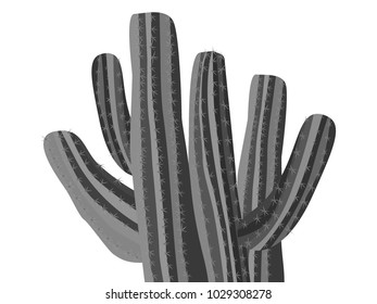 Cacti. Grey Cactus Isolated. Prickly Tree with Needles. Cacti for Web Design, Wallpapers, Illustrations, Postcards, Invitations, Textile, Fabrics, Tiles, Posters, Banners.