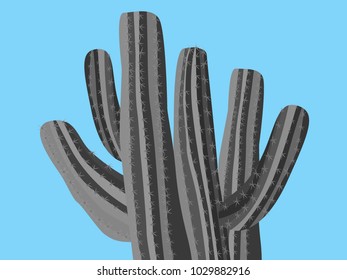 Cacti. Grey Cactus Isolated. Prickly Tree with Needles. Cacti for Web Design, Wallpapers, Illustrations, Postcards, Invitations, Textile, Fabrics, Tiles, Posters, Banners.