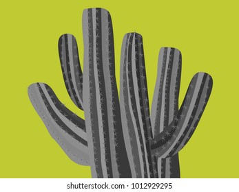 Cacti. Grey Vector Cacti. Prickly Tree with Needles. Cactus for Web Design, Wallpapers, Illustrations, Postcards, Invitations, Textile, Fabrics, Tiles, Posters, Banners. Beautiful Realistic Cactus.
