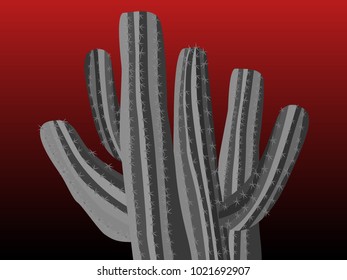 Cacti. Grey Vector Cacti. Prickly Tree with Needles. Cactus for Web Design, Wallpapers, Illustrations, Postcards, Invitations, Textile, Fabrics, Tiles, Posters, Banners. Beautiful Realistic Cactus.