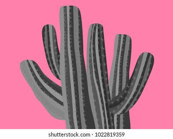 Cacti. Grey Vector Cacti. Prickly Tree with Needles. Cactus for Web Design, Wallpapers, Illustrations, Postcards, Invitations, Textile, Fabrics, Tiles, Posters, Banners. Beautiful Realistic Cactus.