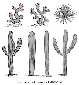 Cacti group. Prickly pear cactus, blue agaves, and saguaro. Hand drawn cactus vector. Grey and pink palette