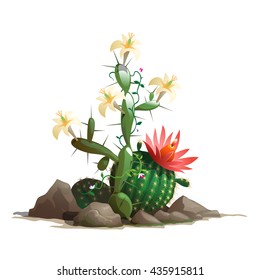 Cacti grow in the rocks isolated on a white background. Cartoon vector close-up illustration.