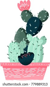 Cacti hand draw illustration