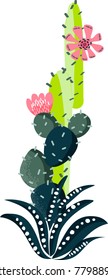 Cacti hand draw illustration