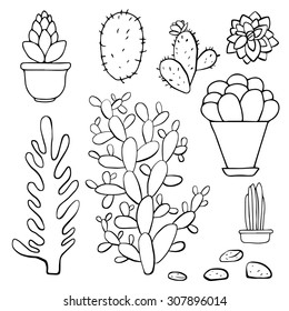 Cacti hand drawn sketch set, succulents, houseplants, flowerpots, stones isolated on white background
