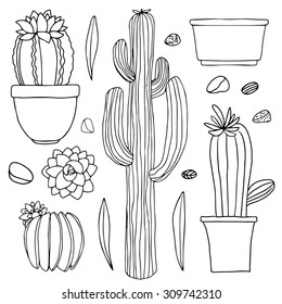 Cacti Hand Drawn Sketch Set Succulents Stock Vector (Royalty Free ...