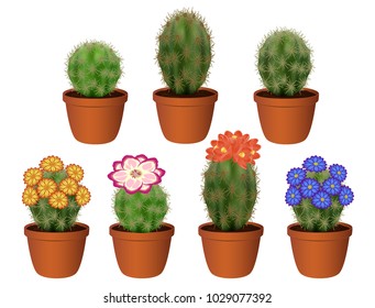Cacti, houseplants, flowers for Windows, to place on the windowsill. Flowering cacti, a set of different types. Decoration for home, room. Vector illustration. 3d, mesh.