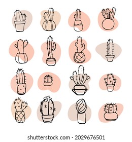 icono de cactus conjunto de contorno dibujado a mano sobre el fondo blanco