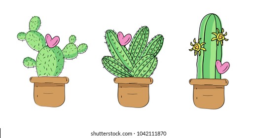 Cacti illustration in a white background