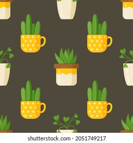 Cacti and indoor plants isolated on a brown background. Beautiful green plants. 