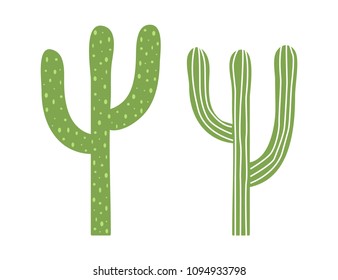 Cacti isolated on white background. Vector illustration.