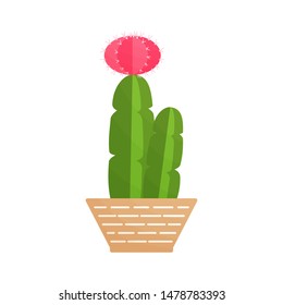 Cacti isolated on white background. Cactus clip art for wallpaper, greeting card, poster, flyer, banner print
