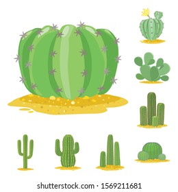 Cacti of mexican in desert vector cartoon icon set.Vector isolated illustration cacti tropical.Icon set of plant cacti mexican.