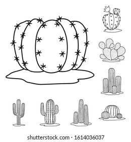 Cacti of mexican in desert vector line icon set.Vector isolated illustration cacti tropical.Icon set of plant cacti mexican.