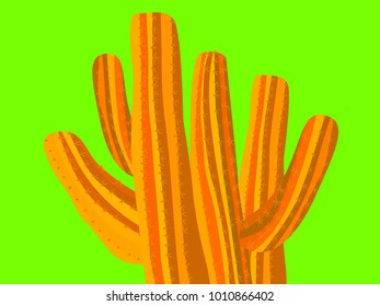 Cacti. Orange Vector Cactus. Prickly Tree with Needles. Cactus for Web Design, Wallpapers, Illustrations, Postcards, Invitations, Textile, Fabrics, Tiles, Posters, Banners. Beautiful Realistic Cactus.