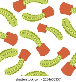 Cacti pattern. Vector illustration in cartoon flat style isolated on white background.