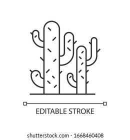 Cacti pixel perfect linear icon. Desert plants. Saguaro cactus. Prickly tree like succulent. Thin line customizable illustration. Contour symbol. Vector isolated outline drawing. Editable stroke