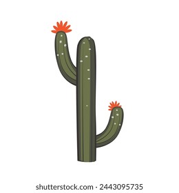 Cacti plant vector image, cactus tree illustration