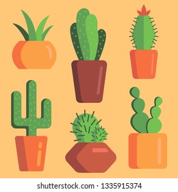 Cacti. Plants. Pot. Cactus.