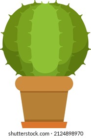 Cacti in pot. Round green cactus with sharp thorns