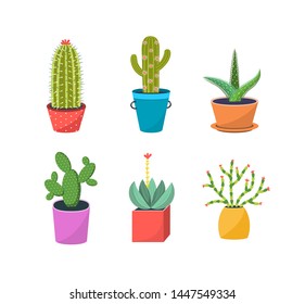 Cacti in pots flat vector illustration set. Houseplants in pots flat vector illustrations set. Exotic interior plants with thorns, blooming cacti in blossom botanical design elements. Prickly plants.