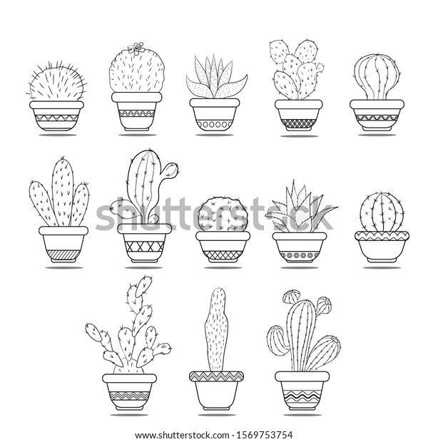 Cacti Pots Isolated Black White Illustration Stock Vector (Royalty Free
