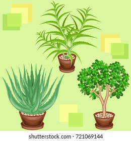 Cacti in pots on a green background. A fancy pattern. Suitable as wallpaper on, as a background for packaging products. Creates a cheerful mood. Vector illustration.