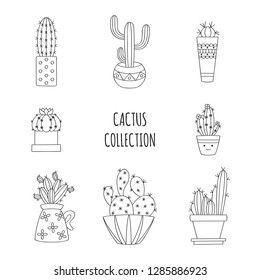 Cacti in pots. Vector black white illustration. Houseplants.