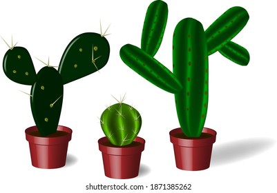 Cacti in pots. Vector illustration of cacti on a white background.