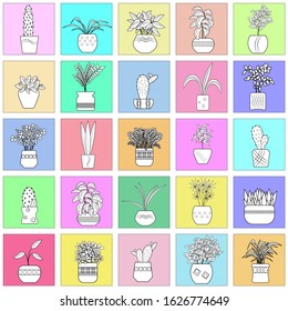 Cacti and potted plants. Seamless pattern, wallpaper design, wrapping paper, book cover