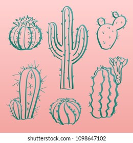 Cacti set. Hand drawn vector illustration of different cactuses