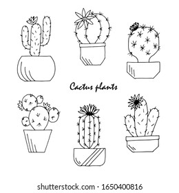Cacti set. Linear drawing by hand. Vector illustration.