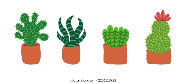 Cacti set. Vector illustrations in cartoon flat style isolated on white background.