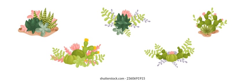 Cacti and Succulent Green Plant Growing in Desert Vector Set