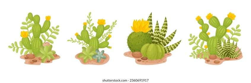 Cacti and Succulent Green Plant Growing in Desert Vector Set