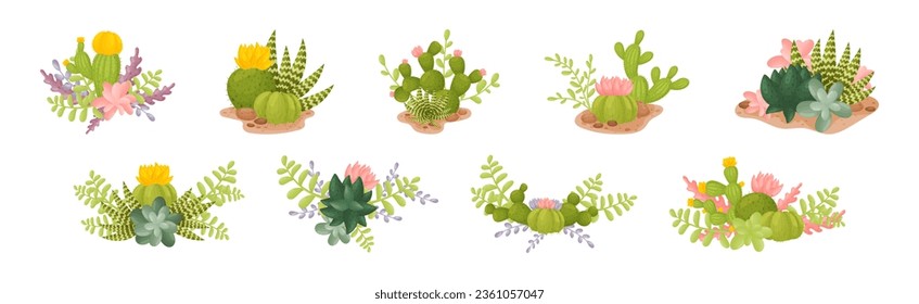 Cacti and Succulent Green Plant Growing in Desert Vector Set